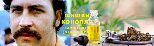 крисы Медвежьегорск