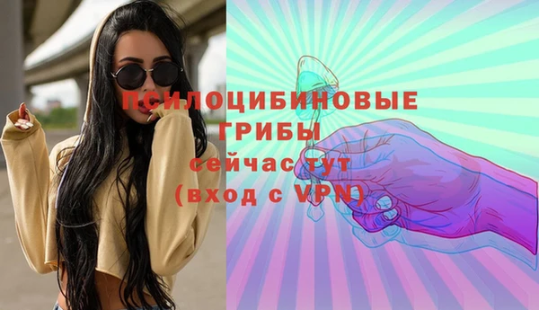 крисы Медвежьегорск